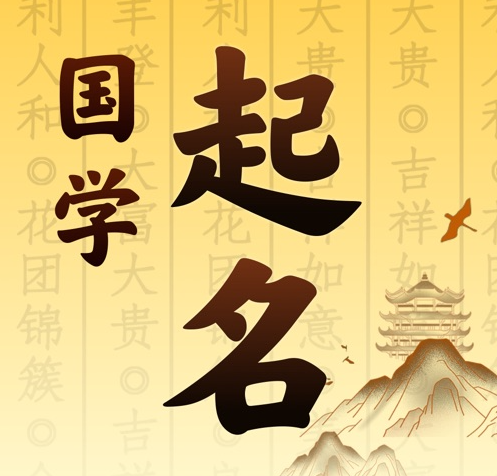 盐亭国学起名 人工起名一对一